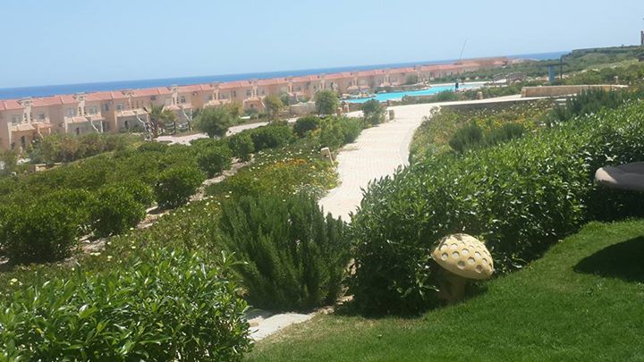  Chalets