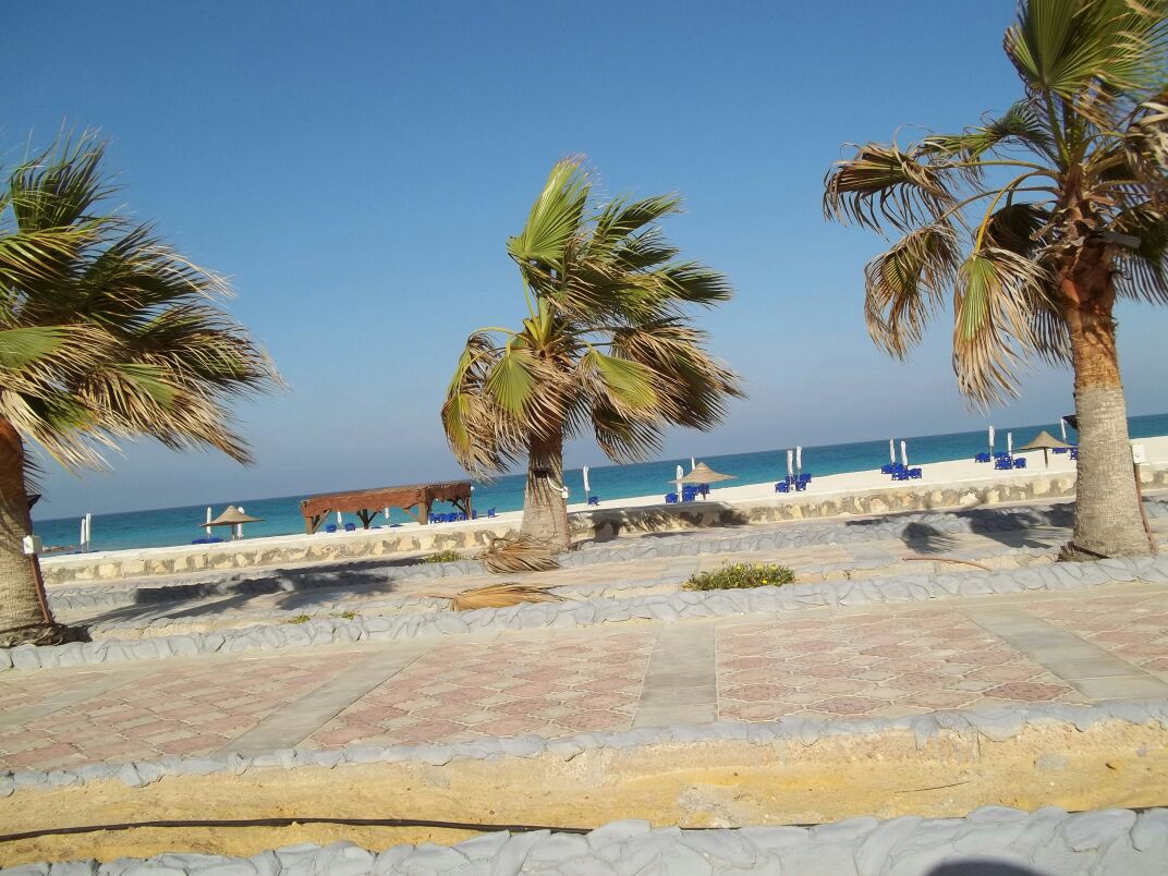 Chalets
