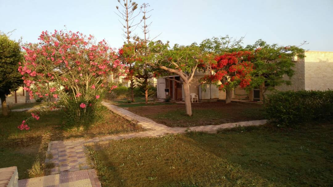  Chalets