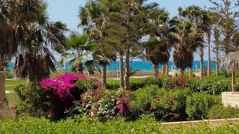  Villas
