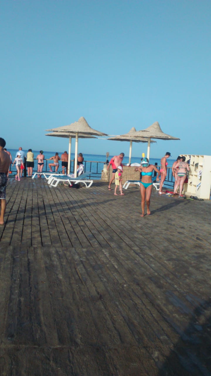 Chalets