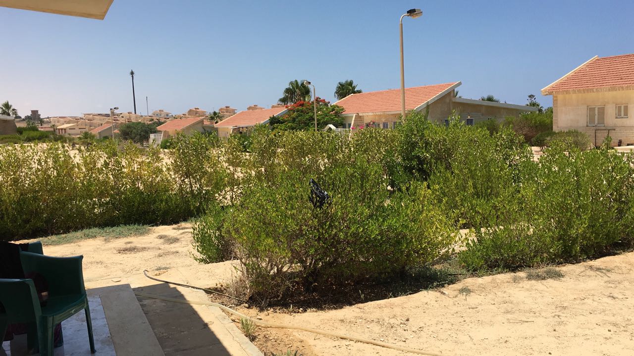  Chalets