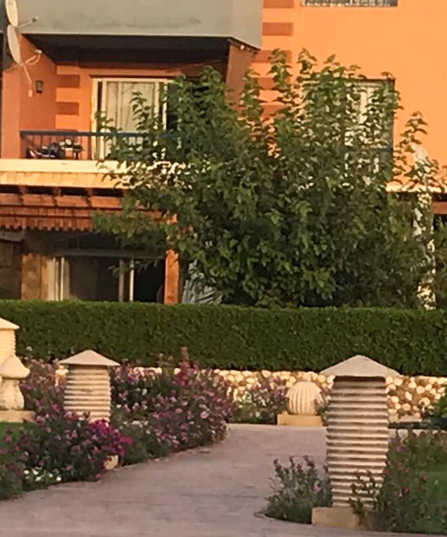  Chalets
