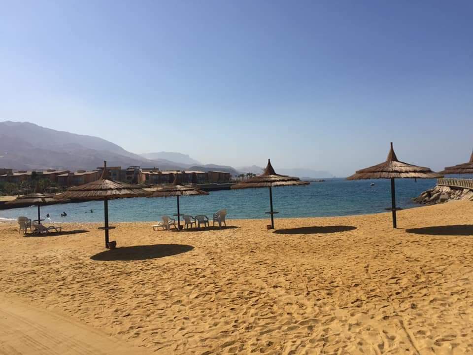  Chalets