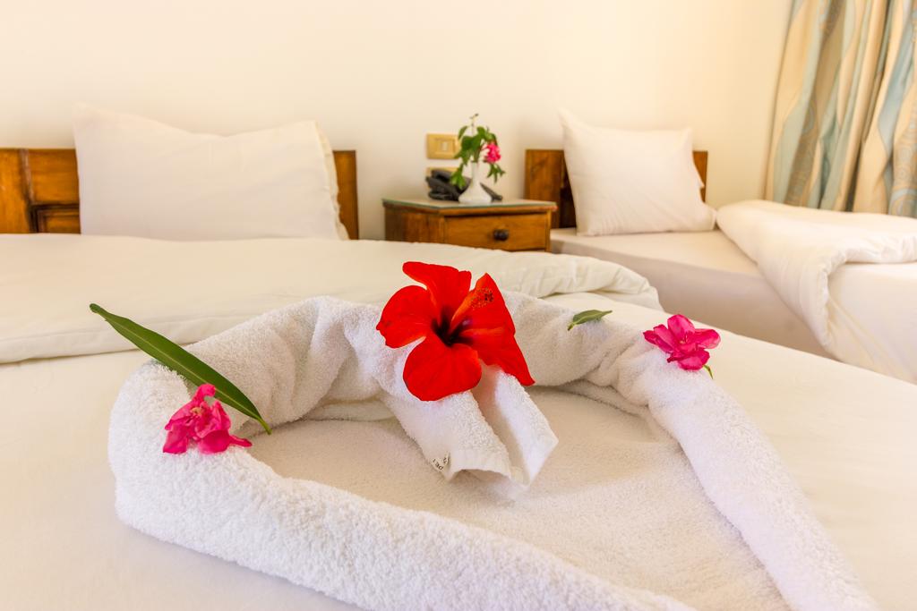  Hotels
