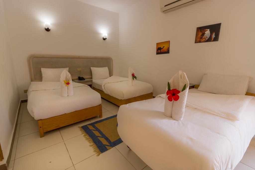  Hotels