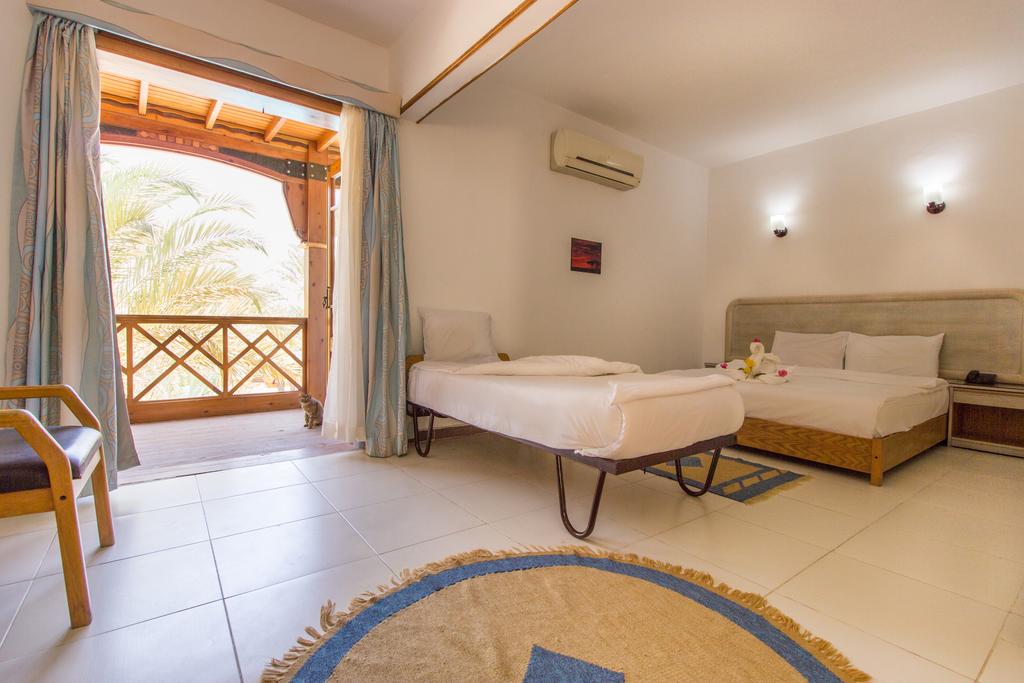  Hotels
