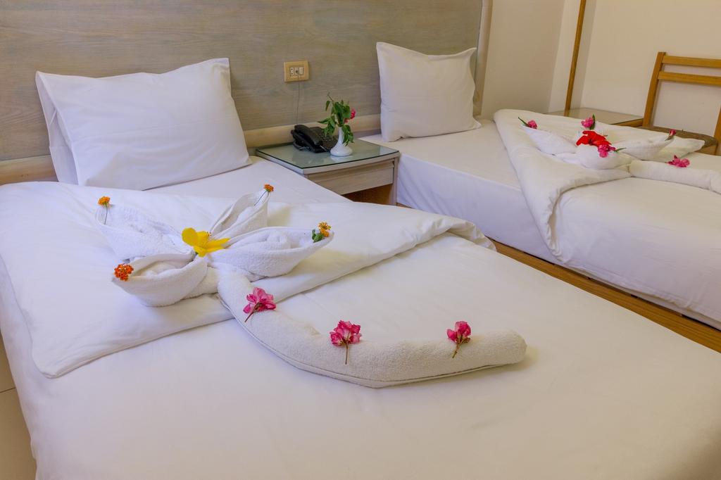  Hotels