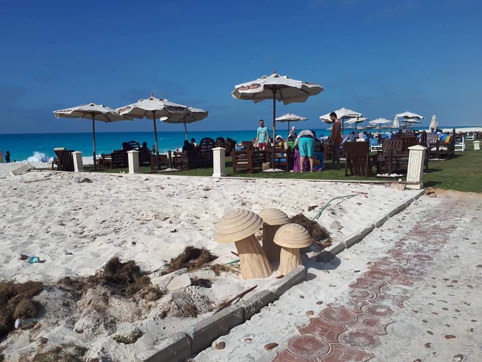  Chalets