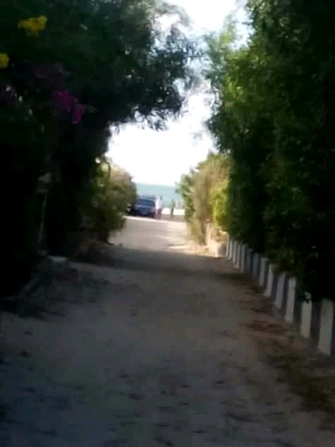  Chalets