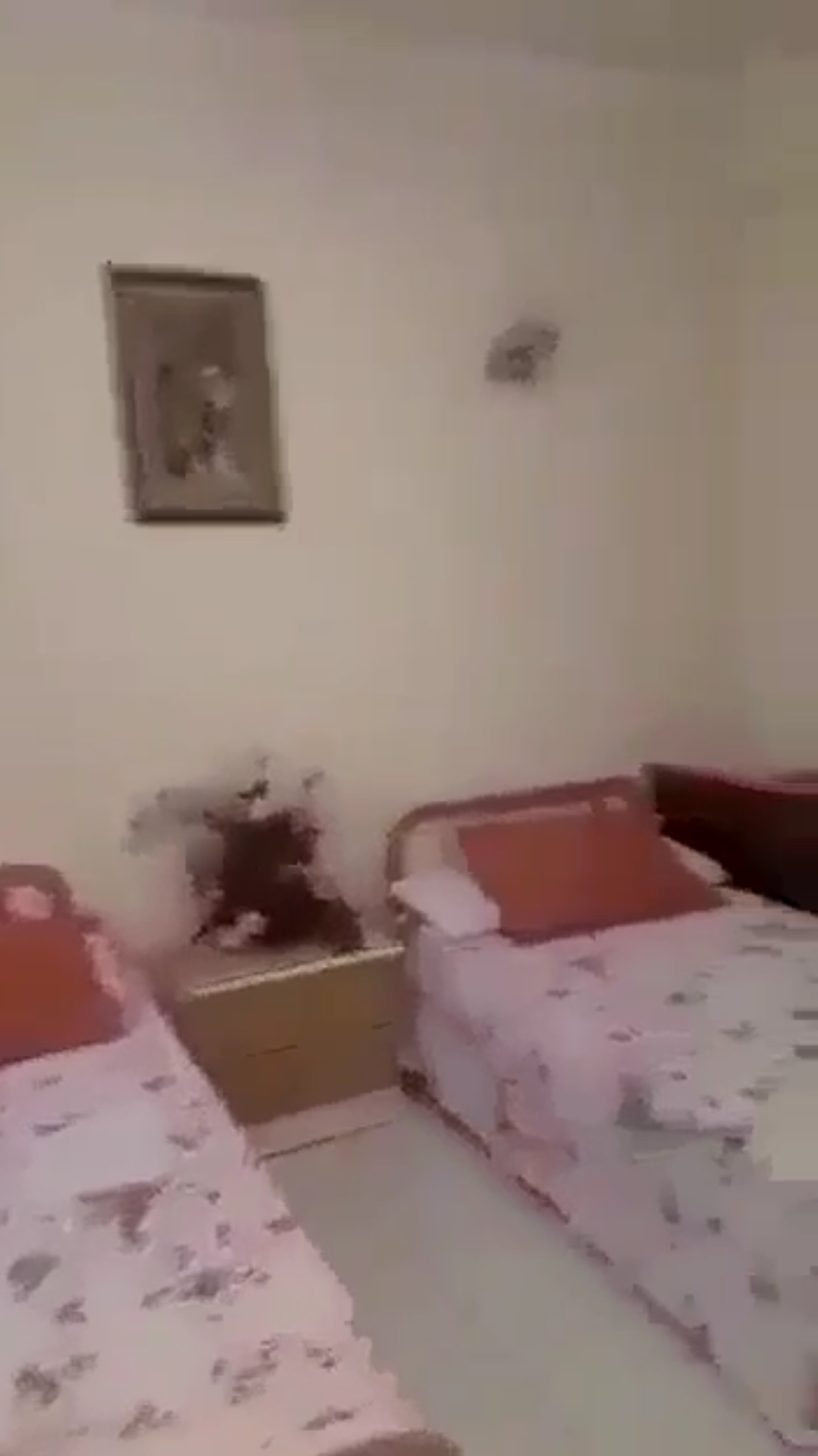  Chalets