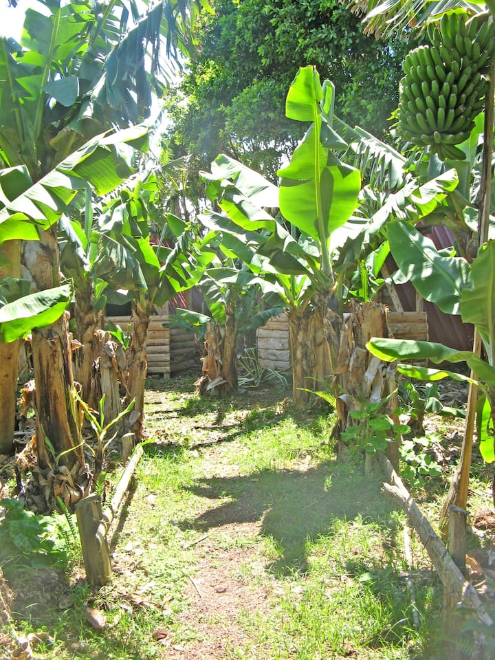  Campsites