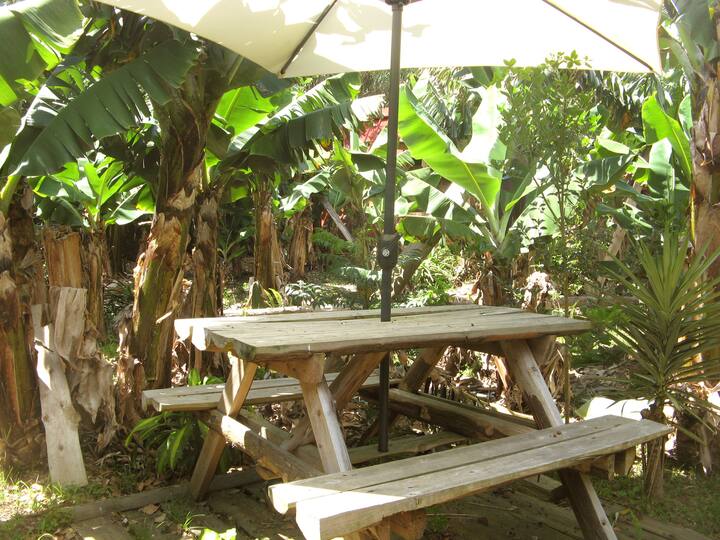  Campsites