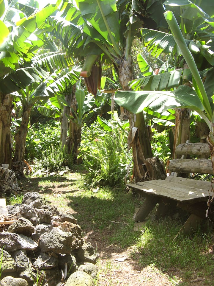  Campsites
