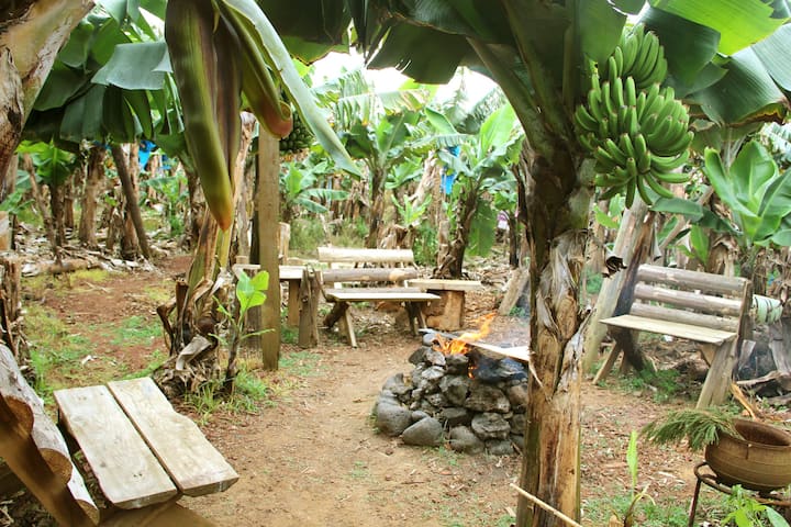  Campsites