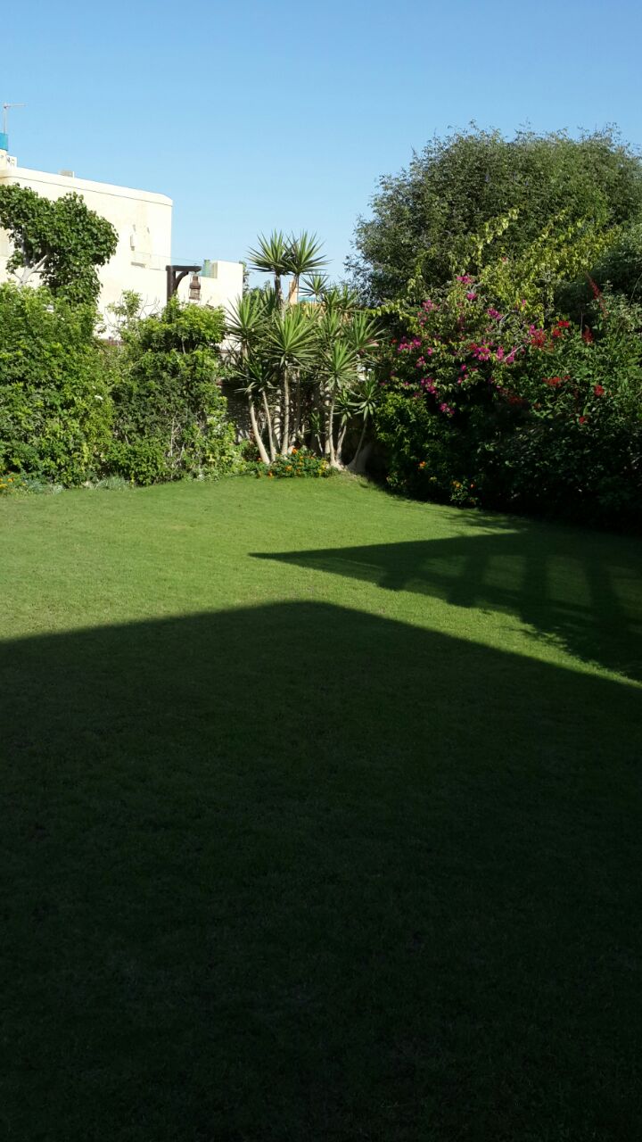  Chalets