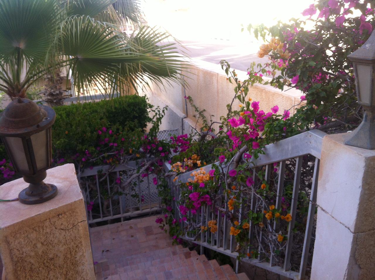  Villas