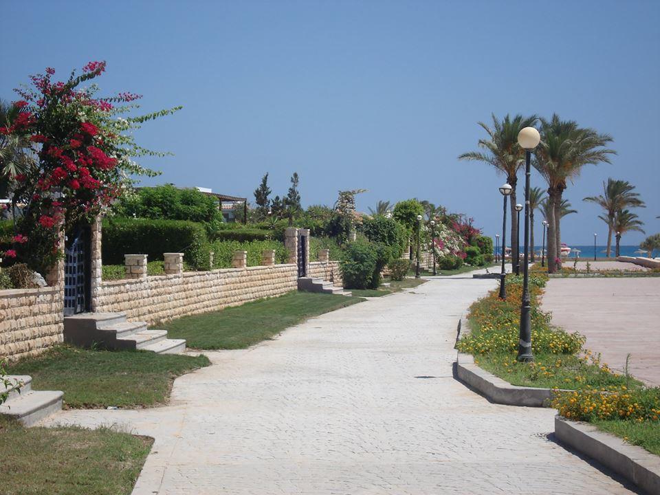  Chalets