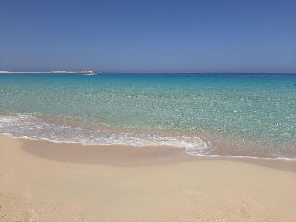  Chalets