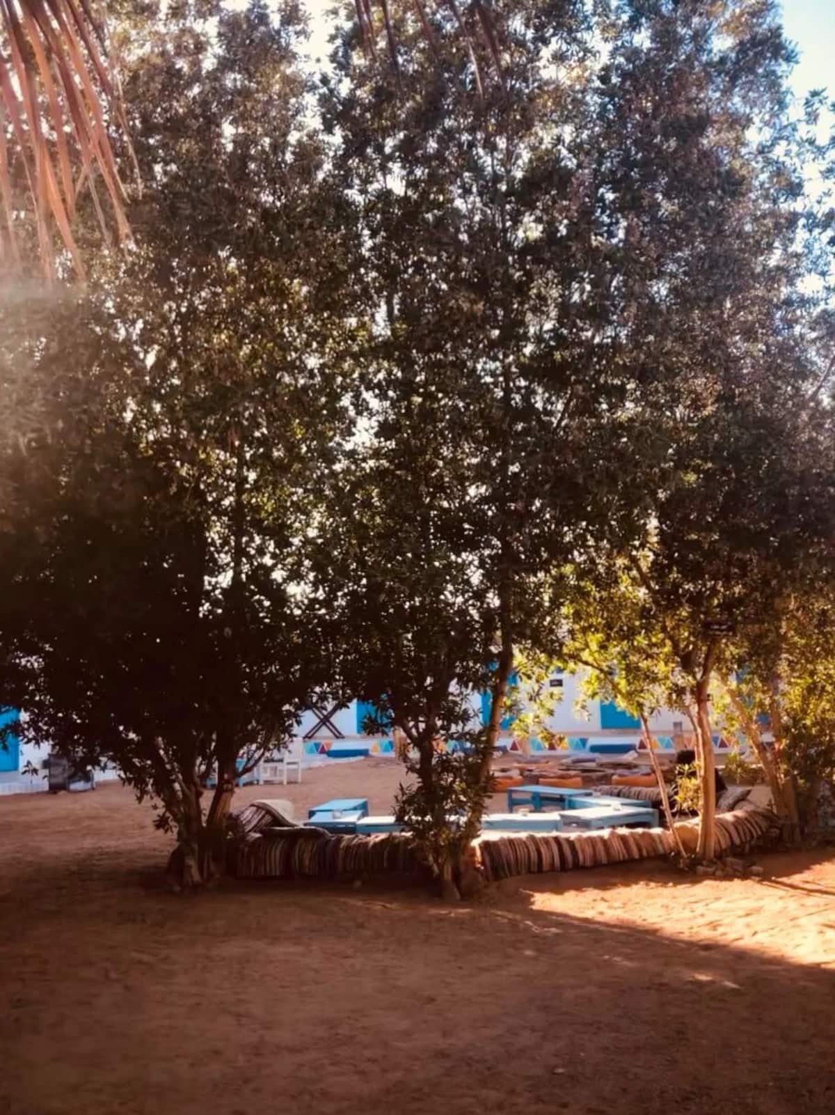  Campsites