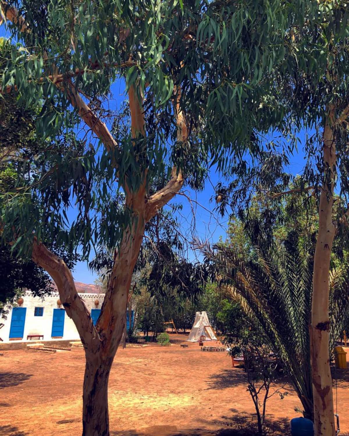  Campsites