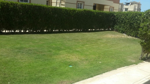  Villas