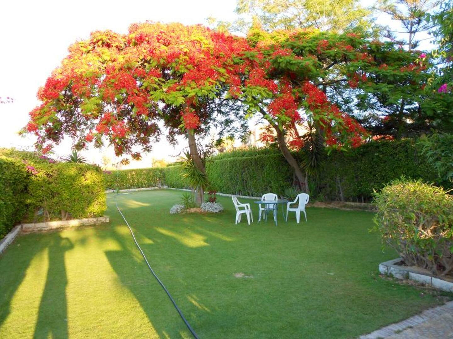  Villas